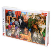 Macskatalálkozó 1000 db-os puzzle - Trefl 