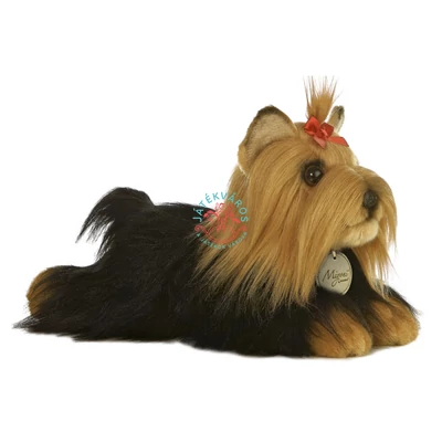 Aurora MiYoni Yorkshire terrier kutya 